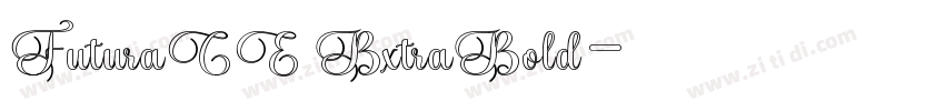 FuturaCE BxtraBold字体转换